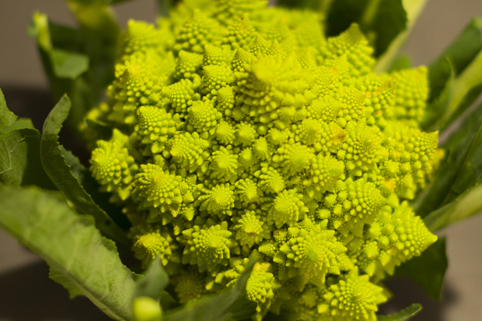 Choux fleur, romanesco ou brocoli